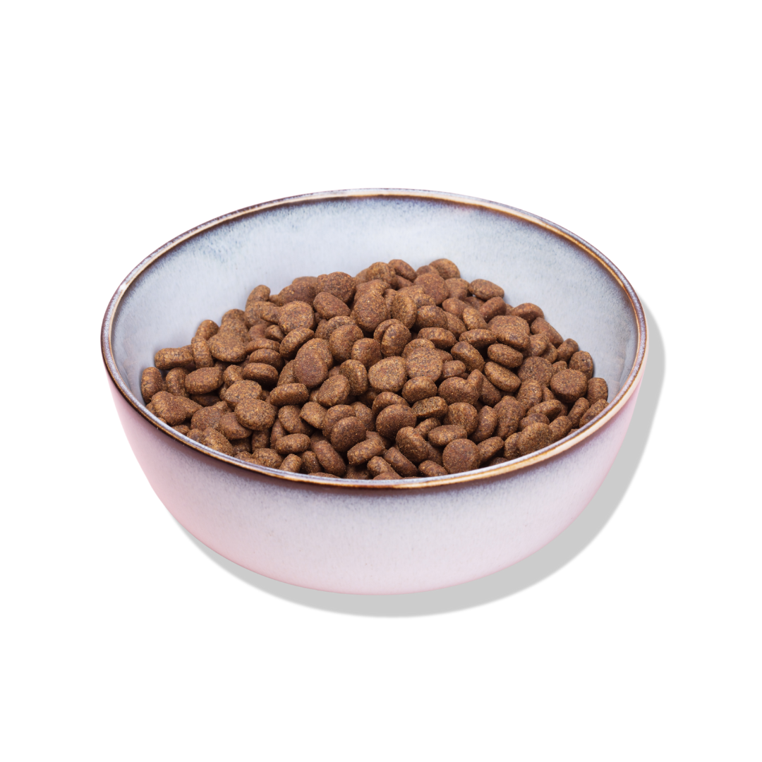 What Are the Pros and Cons of Dry Cat Food?