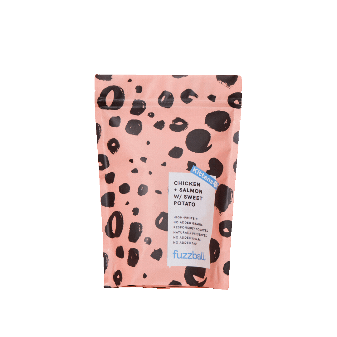 500g dry food for kitten chicken and salmon flavour with sweet potato