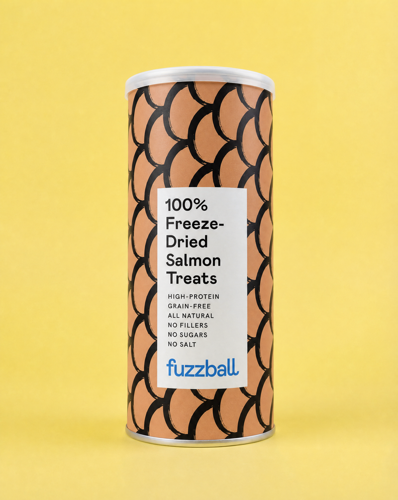 Freeze Dried Salmon Treats (Large)