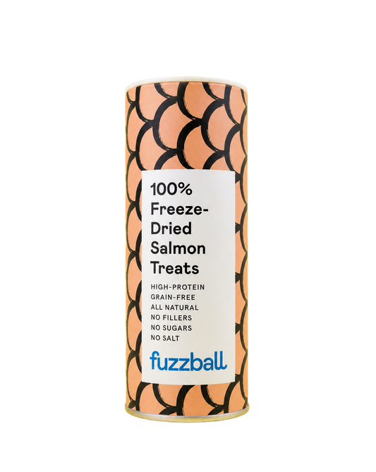 Freeze Dried Salmon Treats (Small)