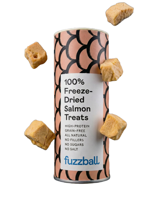 Freeze Dried Salmon Treats (Large)