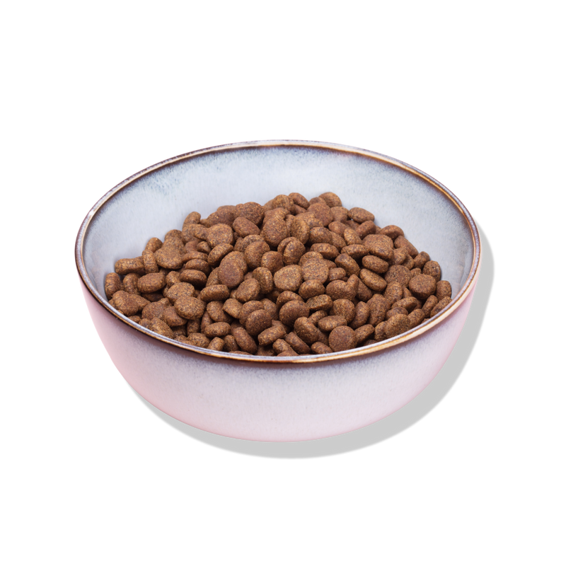chicken with tuna and salmon dry cat food bowl