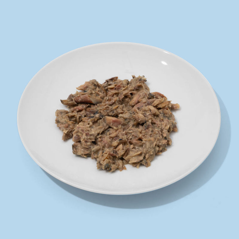 mackerel with squid wet cat food plated