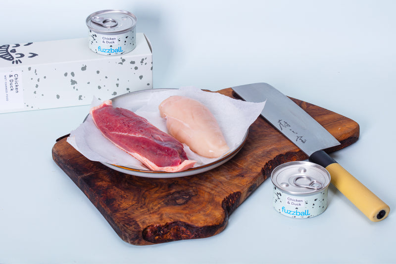 real chicken and duck cat food