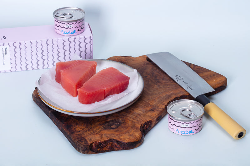 real tuna tinned cat food