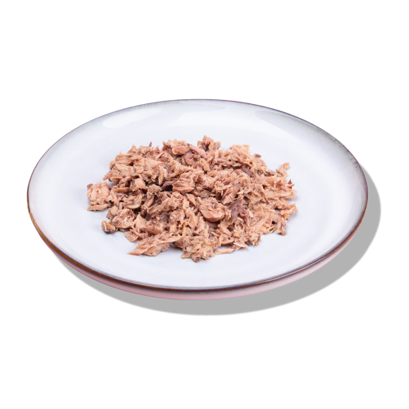 tuna cat food 70g plated