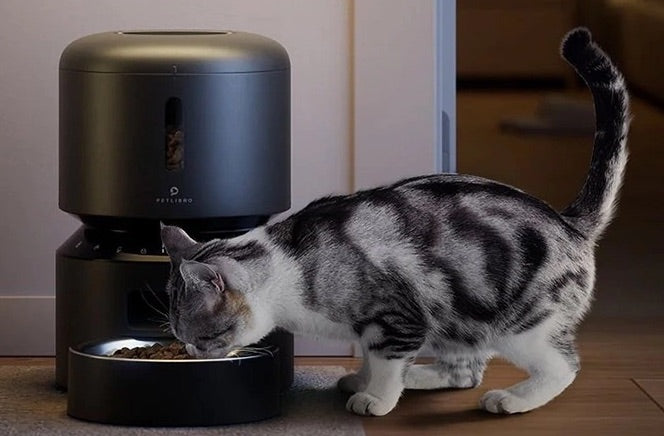 Are Automatic Feeders Good for Cats?