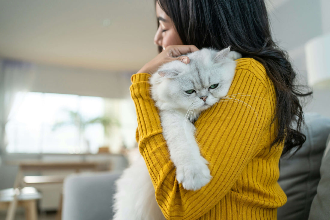 What Is the Difference Between Complete and Complementary Cat Food?