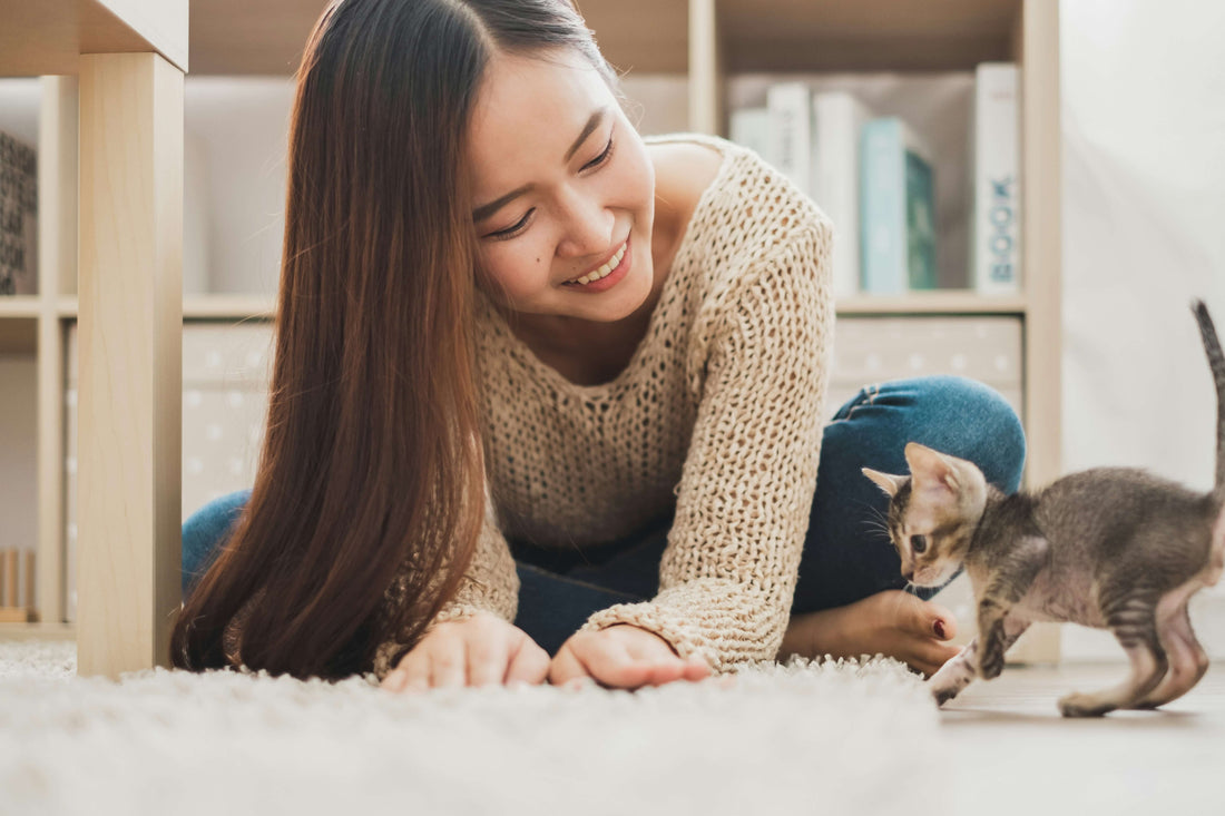 How to Tell If Your Cat is Getting Enough Protein