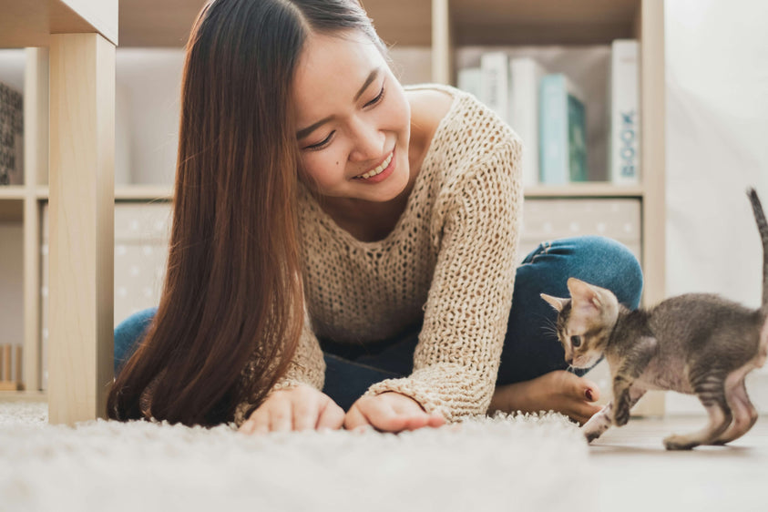 How to Tell If Your Cat is Getting Enough Protein