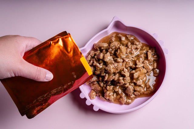 Is High-Protein Wet Cat Food Better For Your Cat?