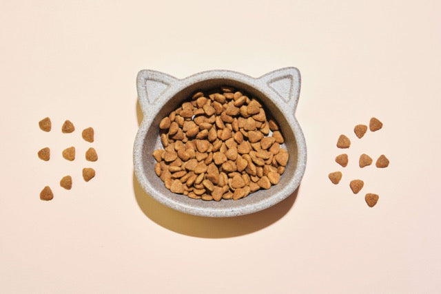 the-long-term-health-effects-of-a-poor-cat-diet