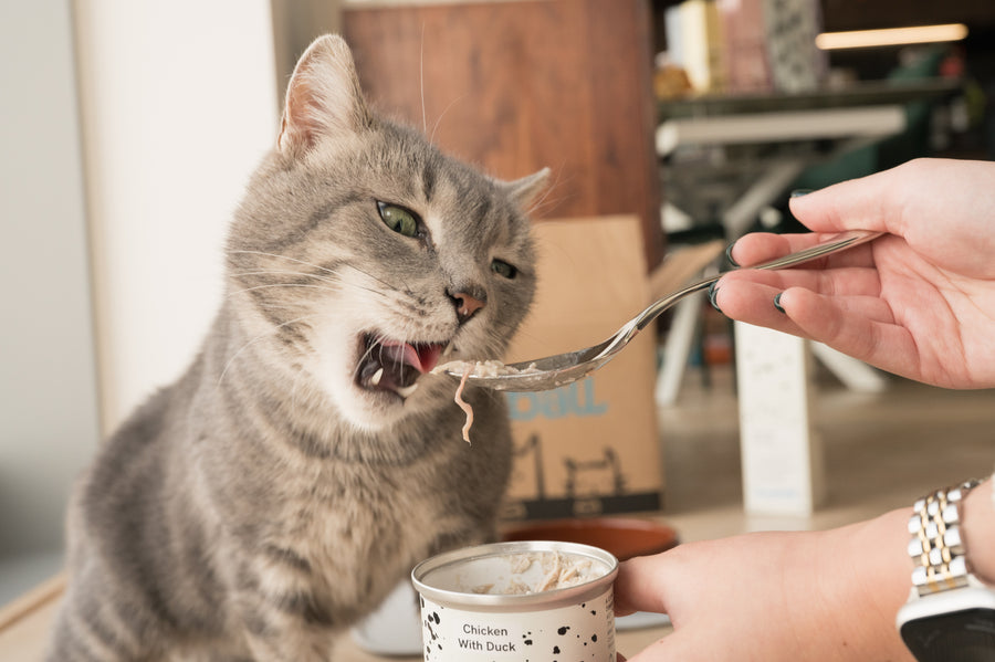 Real Food, No Nasties