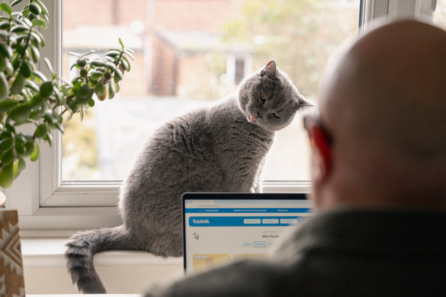 Tell us about your floof
