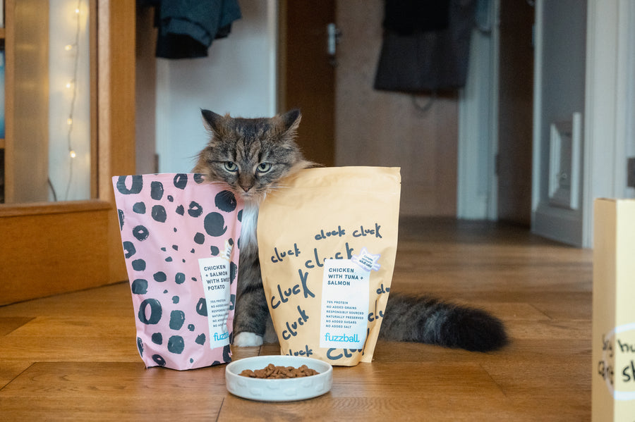 Dry Food Only