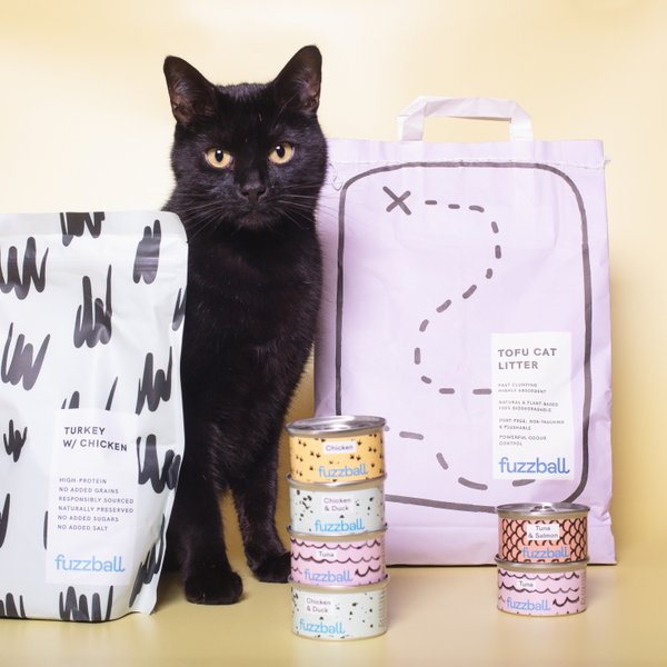 Fuzzball Sweets Quiz Bundle – Fuzzball