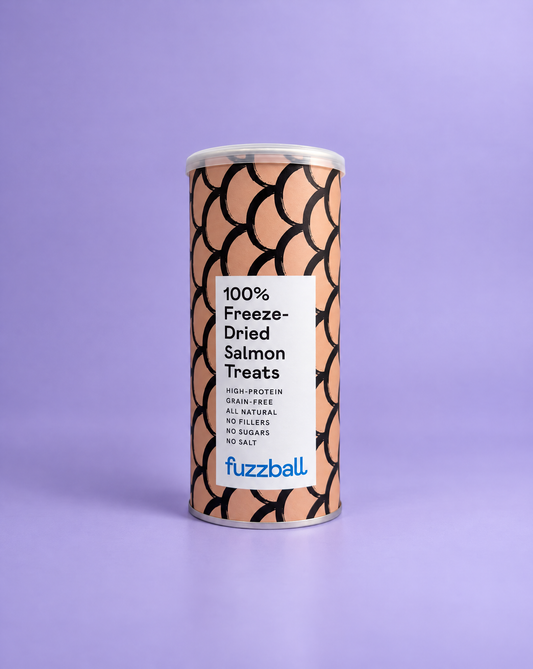 Freeze Dried Salmon Treats: Large Add-On (100g)