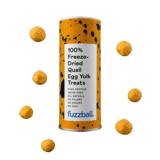 Freeze Dried Quail Egg Yolk Treats (Small)
