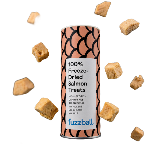 Freeze Dried Salmon Treats (Small)