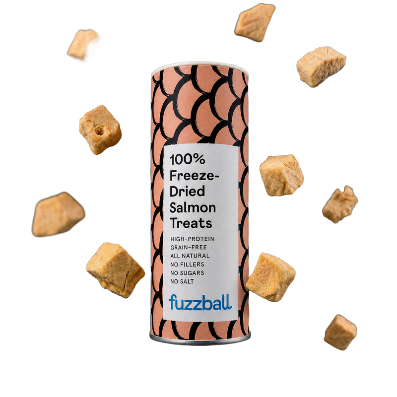 Freeze Dried Salmon Treats (Small)