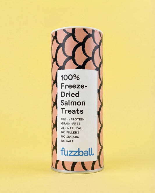 Freeze Dried Salmon Treats (Small)