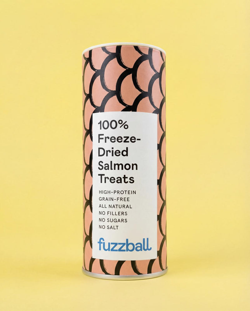 Freeze Dried Salmon Treats (Small)