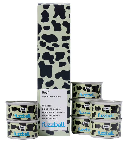 beef cat food