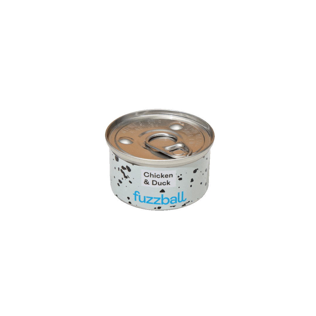 chicken and duck wet cat food 70g tin