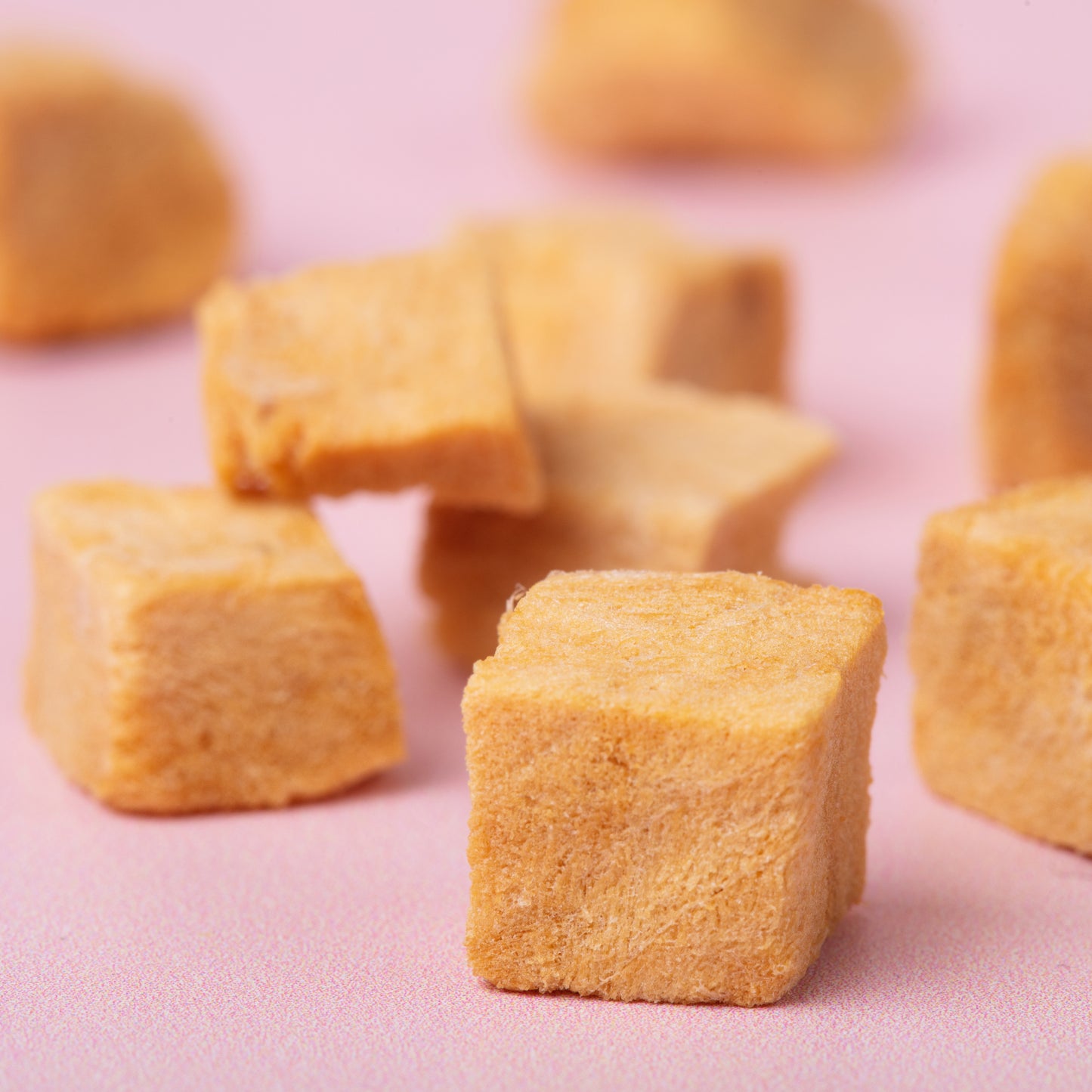 freeze dried salmon cat treat 