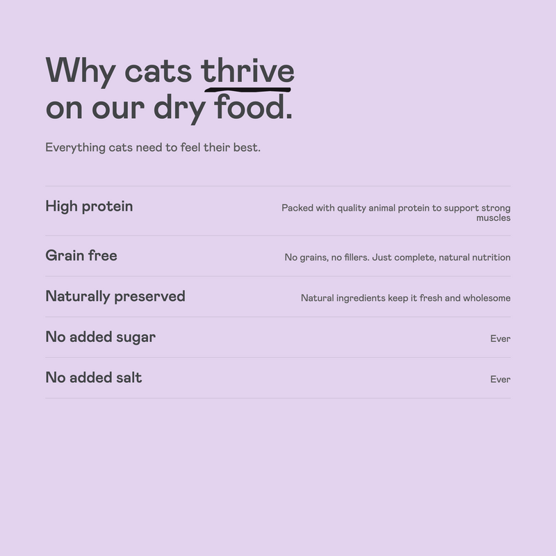 Turkey & Chicken (500g bag)