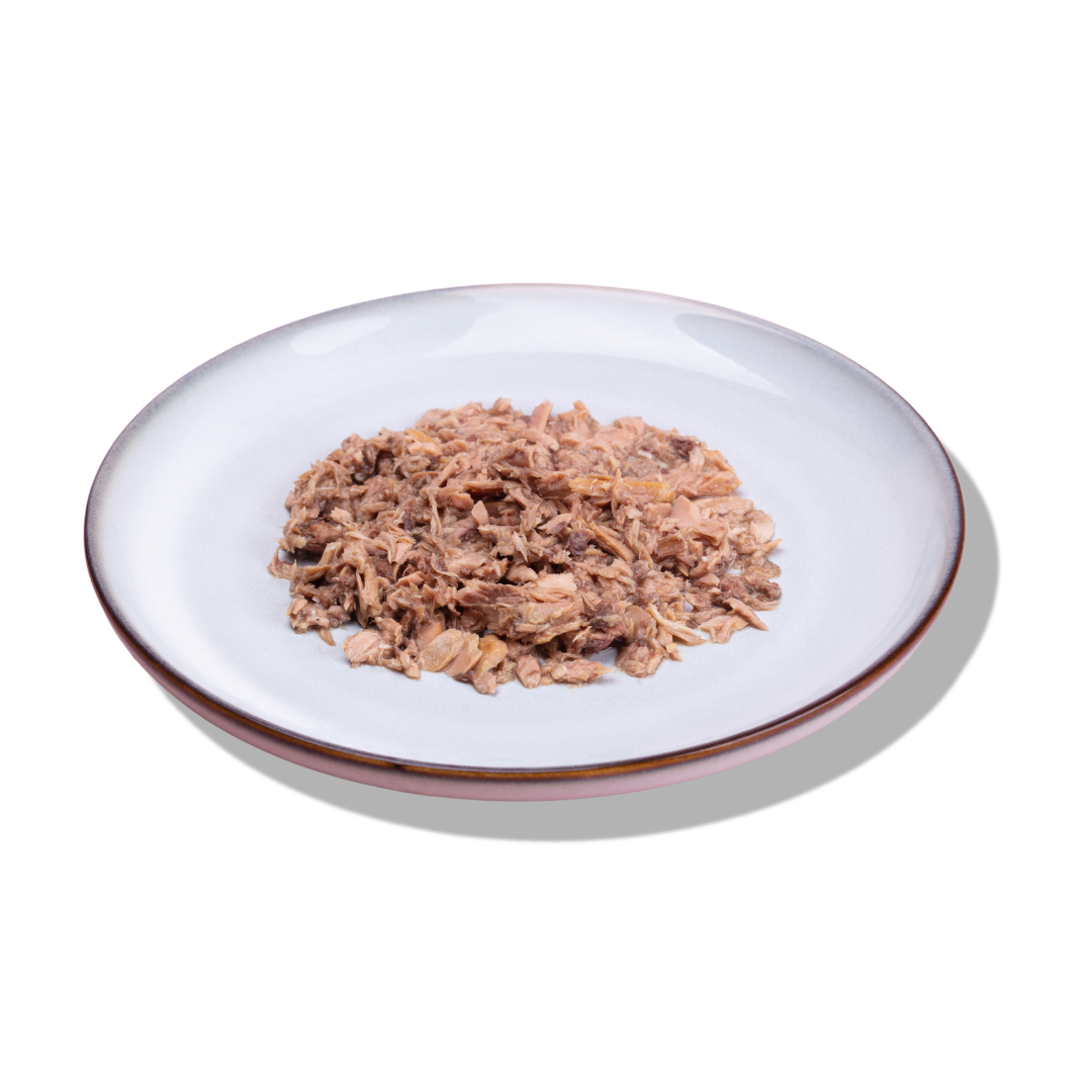 tuna and salmon cat food plated