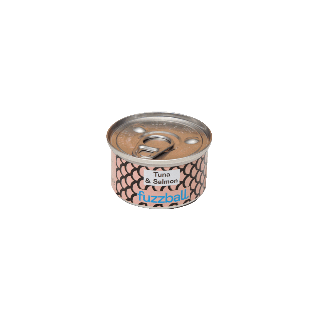 tuna and salmon cat food tin
