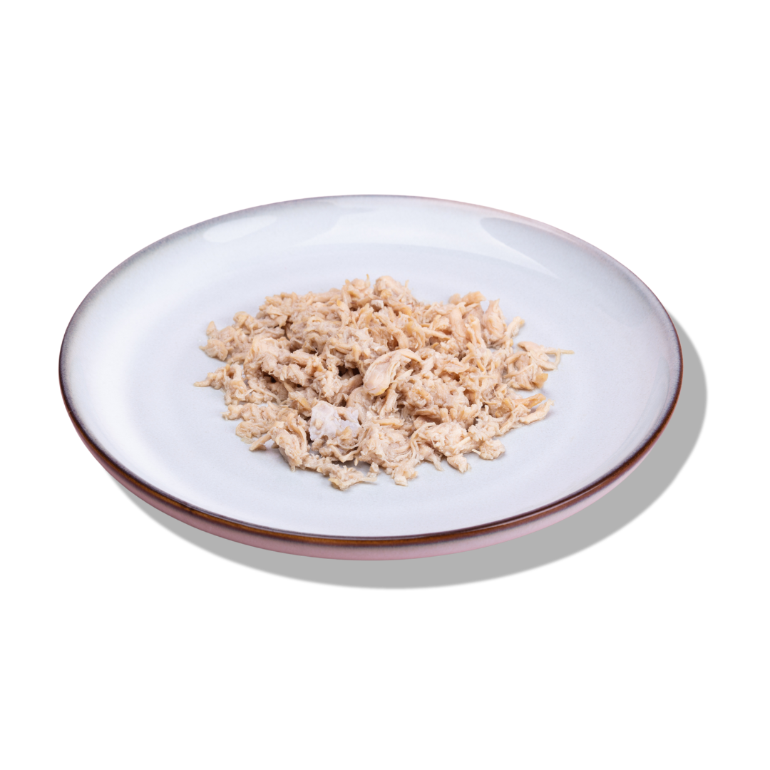 wet cat food chicken flavour plated