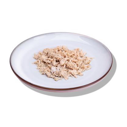 wet cat food chicken flavour plated