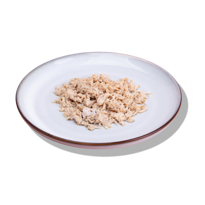 wet cat food chicken flavour plated